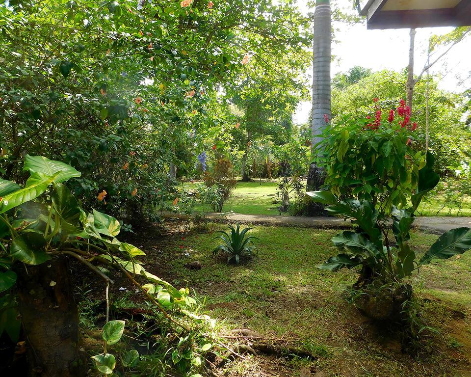 Green Corner Cahuita Exterior foto